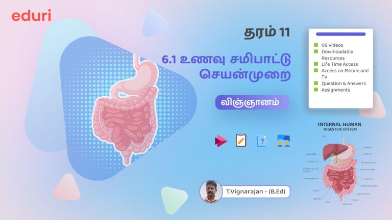 6.1 மனிதனின் உணவு சமிபாட்டு செயன்முறை – (விஞ்ஞானம்) – தரம் 11