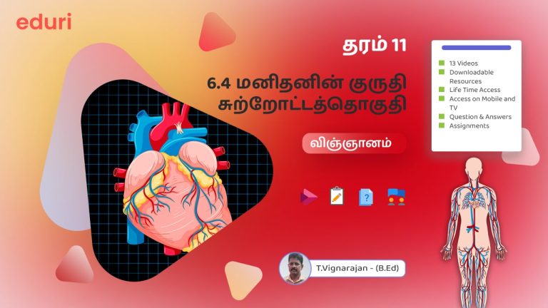 6.4 மனிதனின் குருதி சுற்றோட்டத்தொகுதி – (விஞ்ஞானம்) – தரம் 11